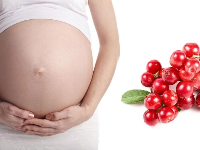 Журавлина при вагітності. Чи можна вагітним журавлину від набряків, при пієлонефриті, стафилококке, циститі і як приготувати і пити журавлину при вагітності?