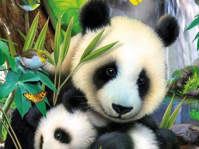 Як намалювати панду олівцем поетапно для початківців? Як намалювати панда Кунфу і милу панду?
