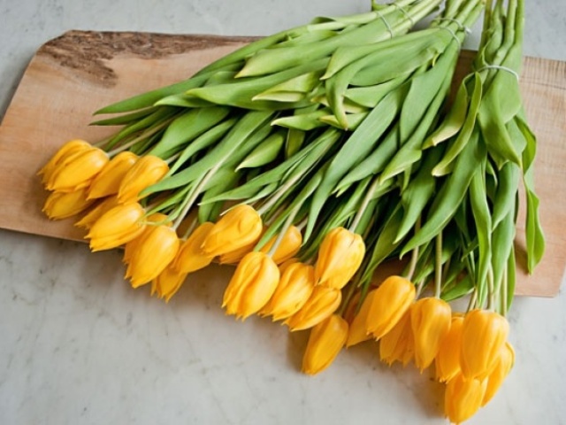 Жовті тюльпани: дарують до чого? Що позначають жовті тюльпани на мові квітів: значення, опис. Можна дарувати жовті тюльпани на 8 березня, просто так жінці, дівчині? Чому жовті тюльпани вісники розлуки?