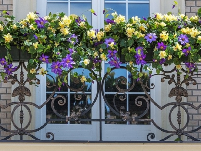 Які невибагливі квіти посадити на балконі на південній і північній стороні? Як організувати квітник з багаторічних і однорічних рослин на балконі своїми руками, квітучих все літо: поради, ідеї, догляд