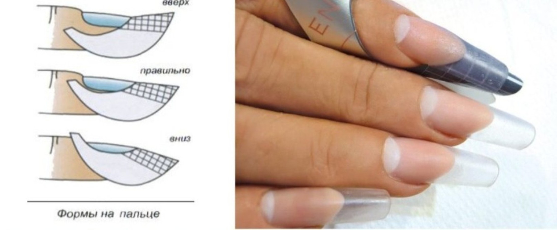 Правильная форма нарощенного ногтя миндаль сбоку