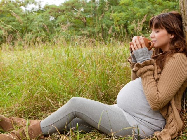 Які трави можна пити при вагітності, які не можна? Сечогінні, жовчогінні, відхаркувальні, кровоспинні, заспокійливі трави при вагітності
