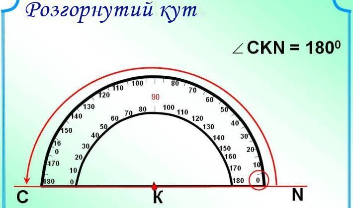 Який кут називається розгорнутим в геометрії?