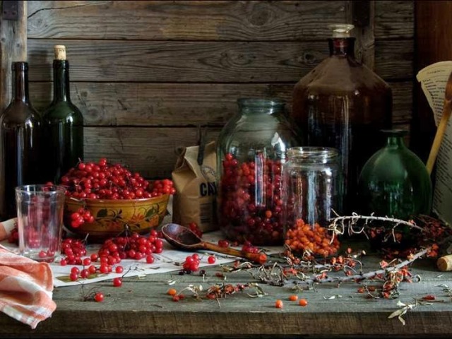 Спиртні напої з ягід червоної калини &#8212; домашнє вино, настоянка, лікер і наливка: найкращі рецепти