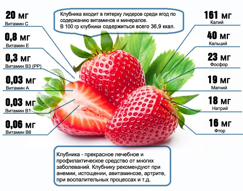 Користь полуниці для організму: вплив на здоров’я та вживання
