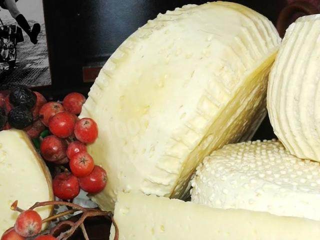 Сир з козячого молока в домашніх умовах: м'який, твердий, пористий, плавлений, бринза &#8212; прості рецепти з покроковим приготуванням