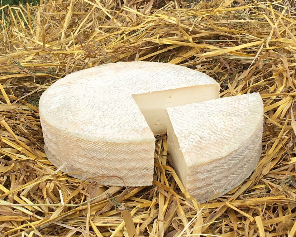 Сорти сиру з козячого молока: як вони виготовляються