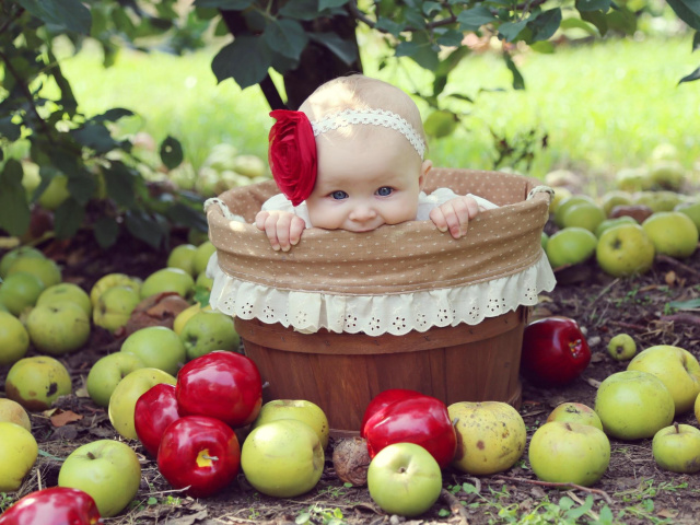Зі скількох місяців можна давати немовляті свіже, запечене яблуко, компот, кисіль з свіжих і сушених яблук? Яблуко давати дітям: до їди чи після? Страви для грудних дітей до року з яблук: найкращі рецепти