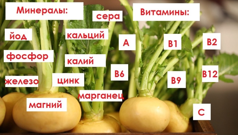 Хімічний склад ріпи