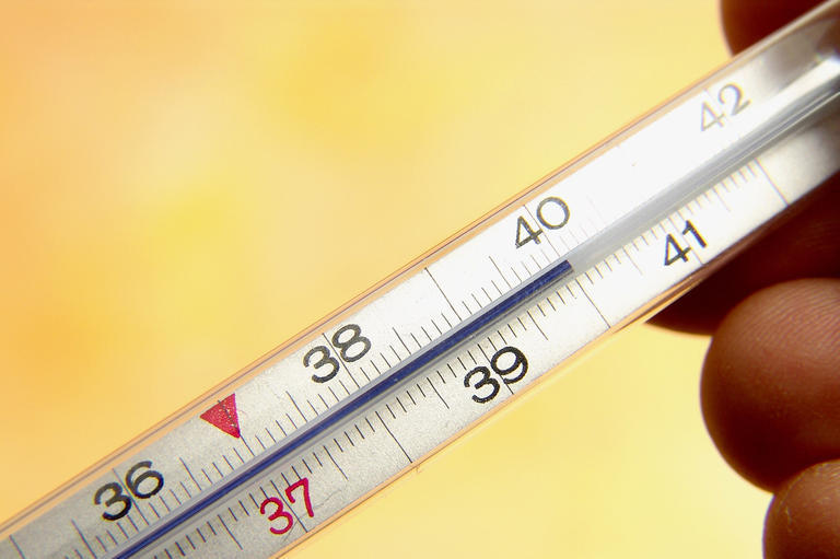 Що відбувається в організмі за температури 39?