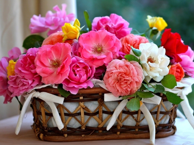 Квіти – народні прикмети і вірування, значення кольору квітів. Позитивні прикмети про квіти, квіти, що приносять в будинок негатив, які квіти ставити у вітальні, кухні, спальні, дитячої, дарувати подарунок: список, опис. Квіткові прикмети на весілля