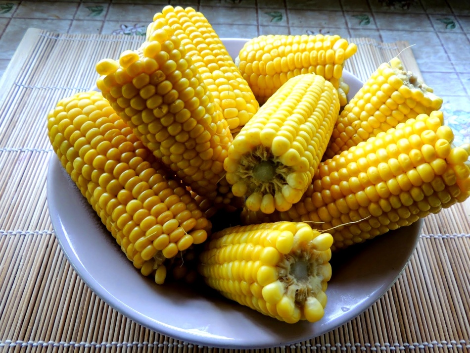 Молоді качани кукурудзи