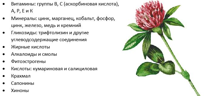 Користь рослини