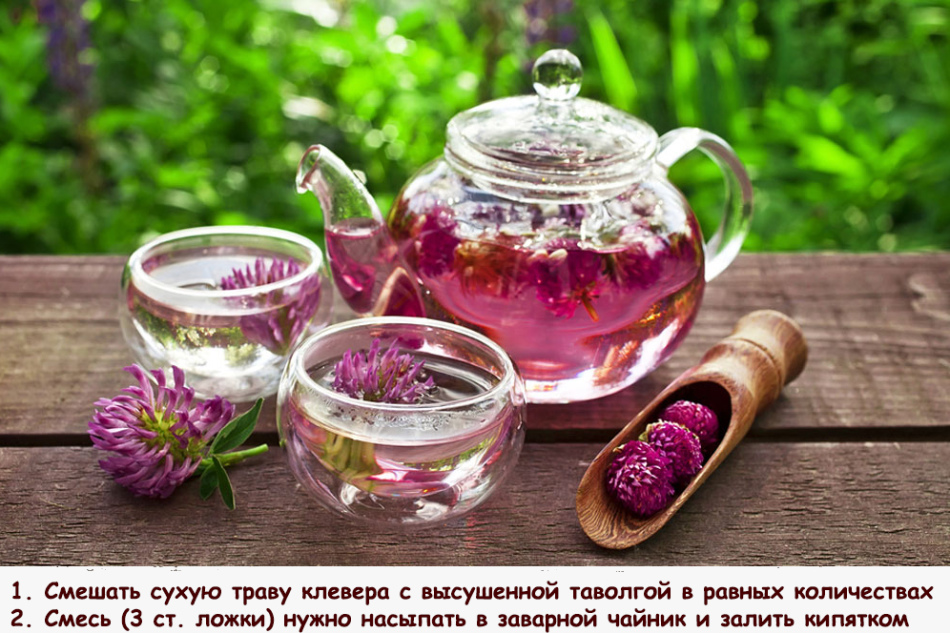 Чай проти холестерину
