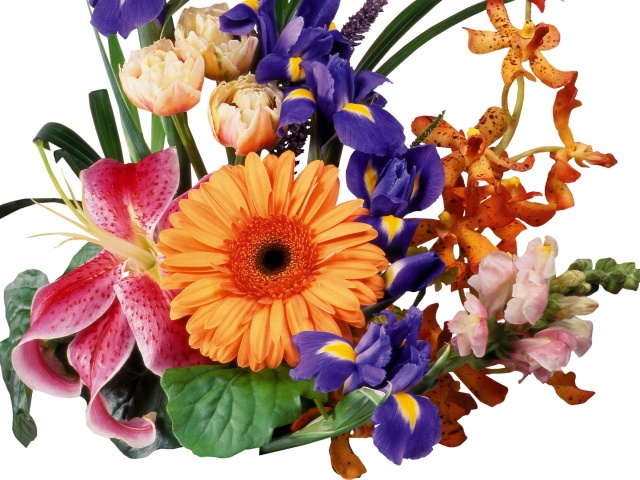 Красиві букети квітів з білих, синіх, червоних, жовтих, фіолетових ірисів своїми руками: фото. Квітка ірис – значення, символ