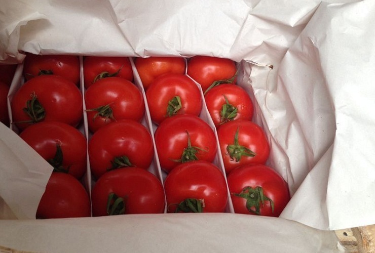 Поради щодо зберігання свіжих помідорів