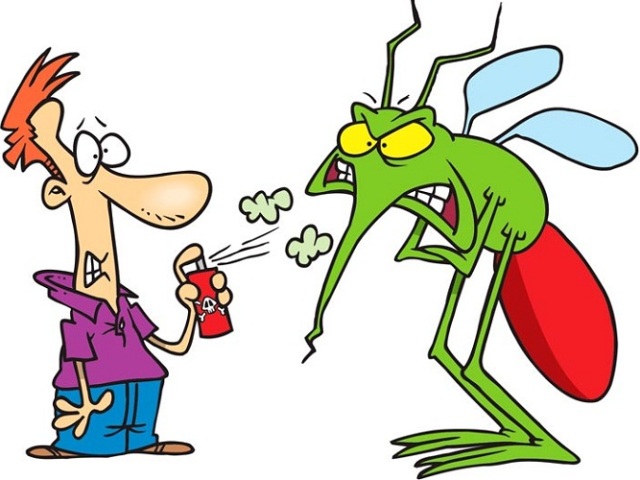 Навіщо боротися з комарами або в чому їх небезпека? Як комарі проникають в наше житло? Кращі способи і народні засоби, які допоможуть боротися з комарами у квартирі, приватному будинку, на дачній ділянці? Як швидко позбавитися від комарів за допомогою сам