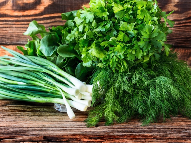 Як правильно зберігати свіжу зелень в холодильнику? Як і скільки зберігати зелену цибулю, петрушку, свіжу м'яту, шпинат, базилік, кріп в холодильнику?