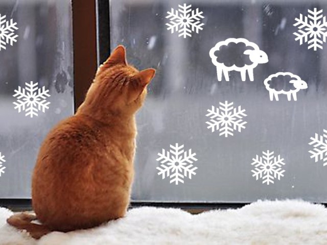 Як намалювати зимові морозні візерунки на вікні гуашшю, фарбами, зубною пастою і губкою поетапно: інструкція для новорічного оформлення вікон, фото. Морозні візерунки на вікні взимку &#8212; приклади малюнків на новорічному вікні: фото