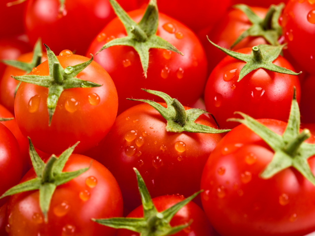 Чим відрізняється томат від помідора? Як правильно називати: томат або помідор?