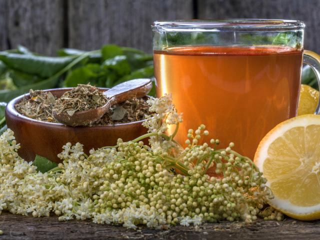 Як застосовувати чай з квітів бузини при застуді?