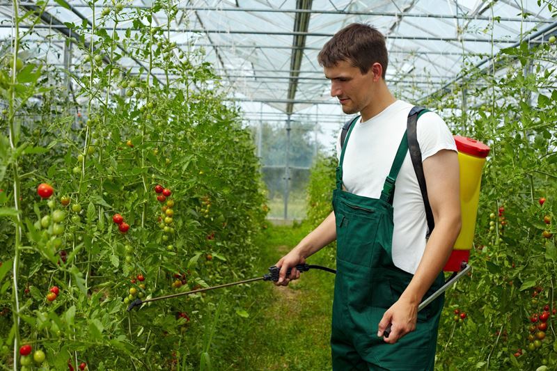 Боротьба з фитофтором