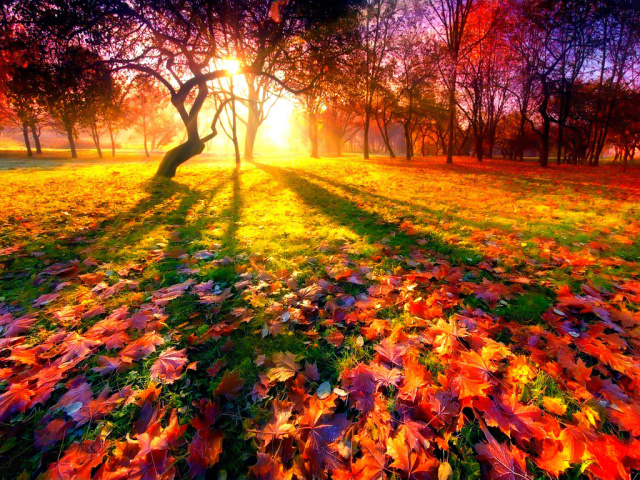 Твори про осінь: прекрасна пора року – осінь, осіння природа, осінній ліс, осінні квіти, осінні прикмети