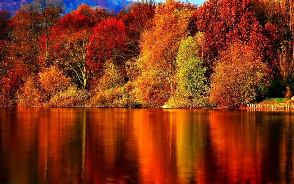 Твори про осінь: прекрасна пора року – осінь, осіння природа, осінній ліс, осінні квіти, осінні прикмети