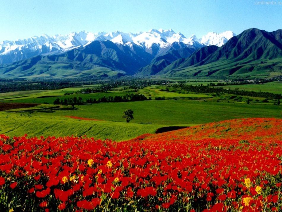 Курорти