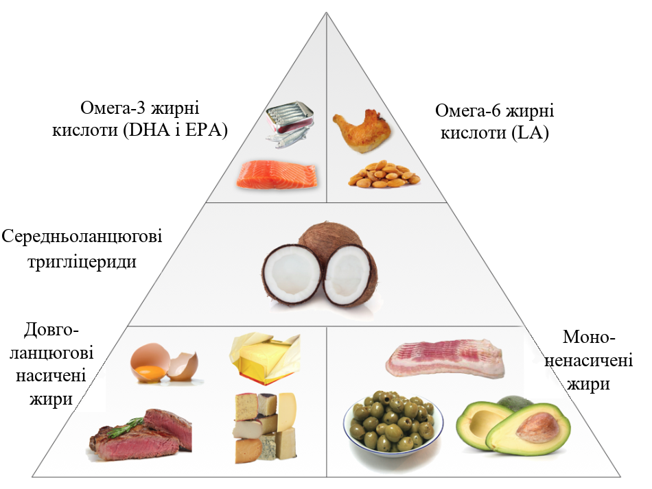 Вміст жирних кислот у продуктах