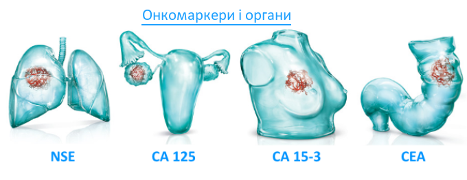 Онкомаркери і органи