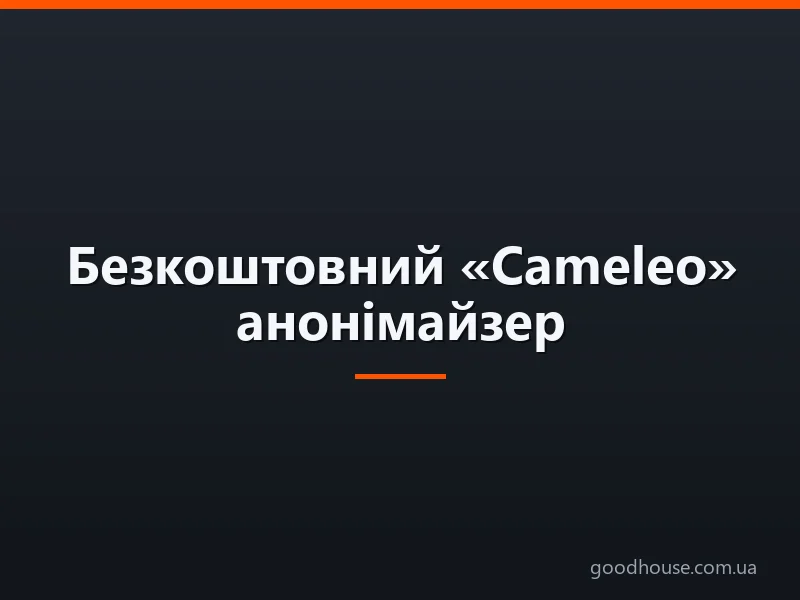 Безкоштовний «Cameleo» анонімайзер: увійти анонімно на улюблений сайт. Що робити, якщо «Chameleon» анонімайзер теж заблокований: сайт анонімайзер «NoBlockMe»