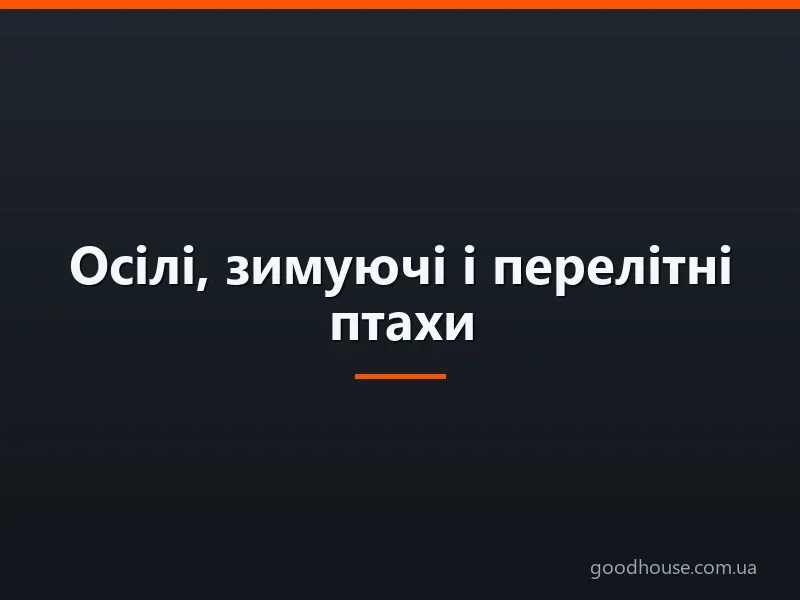 Осілі, зимуючі і перелітні птахи