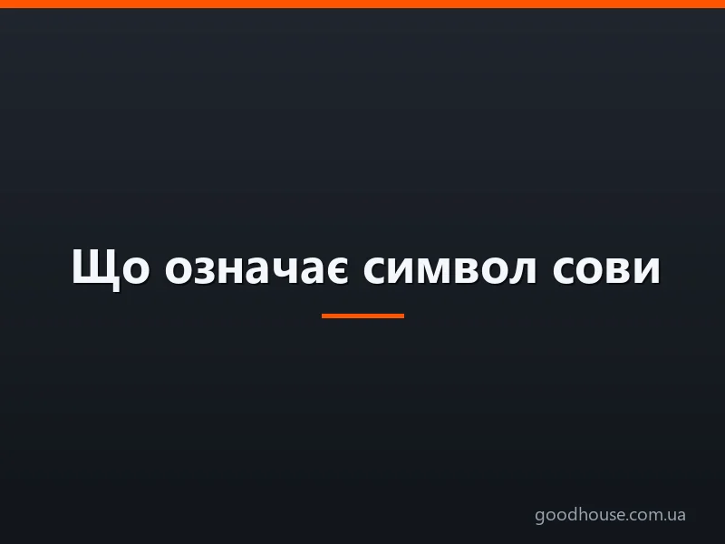 Що означає символ сови: для грошового припливу, у фен-шуй, у вигляді тату — символізм сови