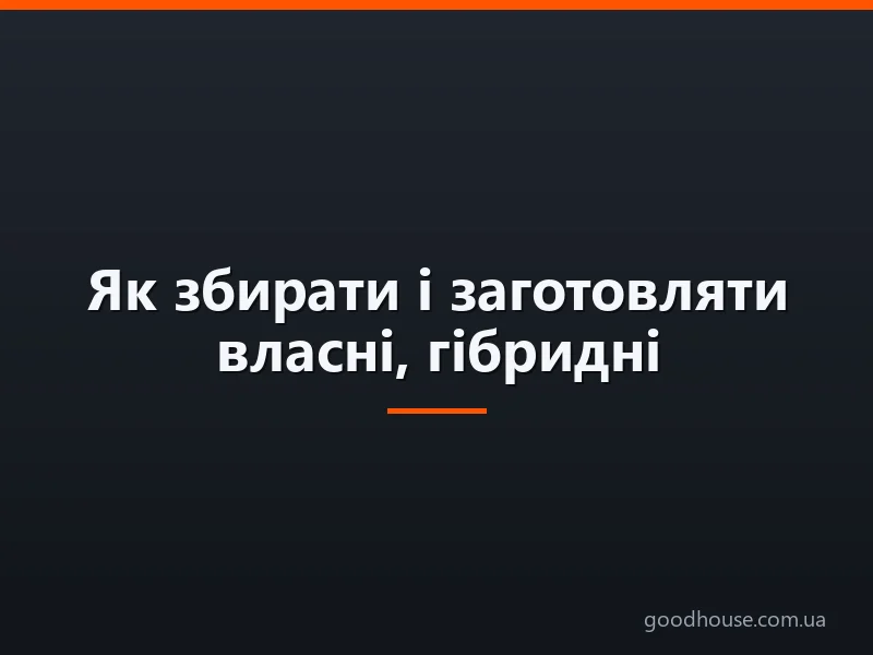 Як збирати і заготовляти власні, гібридні насіння помідорів? Як правильно зберігати насіння? Підготовка насіння до посадки помідорів на розсаду. Як правильно посадити помідори на розсаду у відкритий ґрунт?