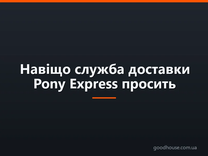 Навіщо служба доставки Pony Express просить паспортні дані при замовленні з AliExpress? Безпечно давати паспортні дані на AliExpress для Pony Expess: чи можна їх не відправляти? Як і куди вводити паспортні дані на AliExpress для Pony Express?