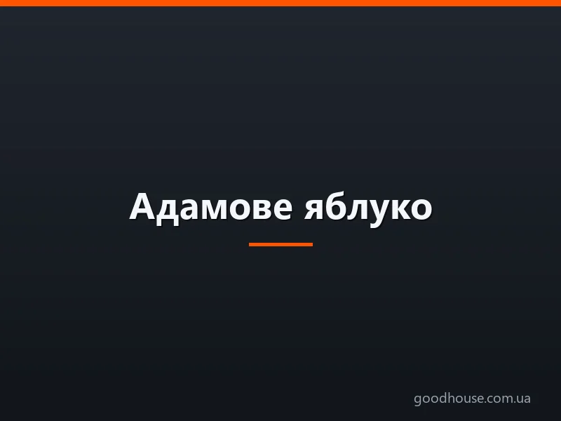 Адамове яблуко: використання маклюри в народній медицині рецепт настоянки для суглобів
