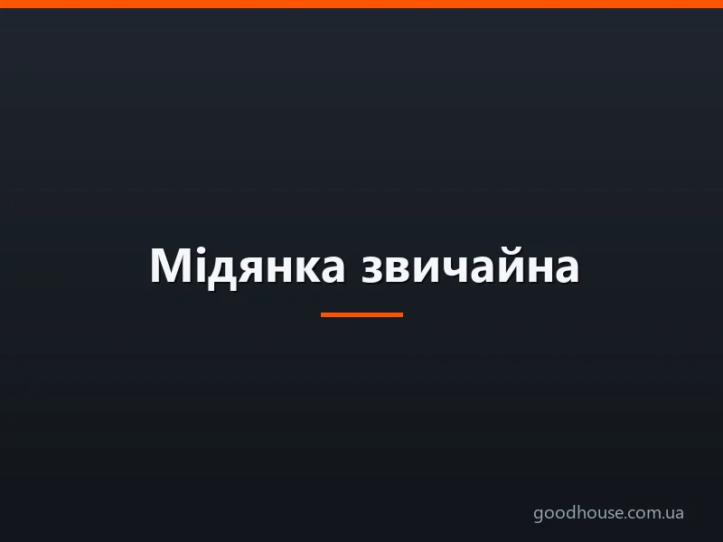 Мідянка звичайна — змія або безнога ящірка, отруйна, небезпечна або ні: короткий опис. Чим відрізняються змії від ящірок, мідянка від мідяниці, веретільниці ламкої? Як тримати і чим годувати мідянку в домашніх умовах? Що буде, якщо вкусить мідянка?