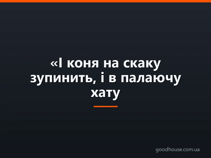 «І коня на скаку зупинить, і в палаючу хату ввійде» — образ російської жінки в поемі Некрасова «Мороз червоний ніс»: аргументи для написання есе