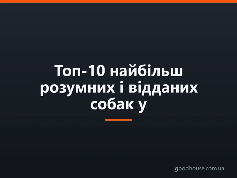 Топ-10 найбільш розумних і відданих собак у світі з маленьких, середніх і великих порід і порід для утримання в квартирі: породи з фотографіями і назвами. Яка порода собак сама розумна і віддана: рейтинг