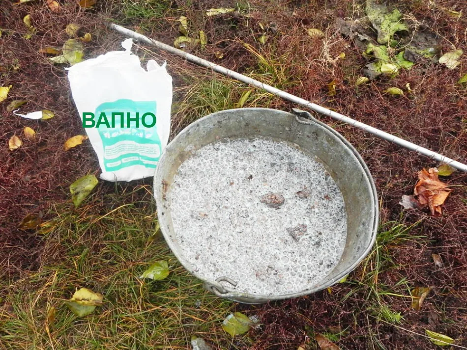 Вапно
